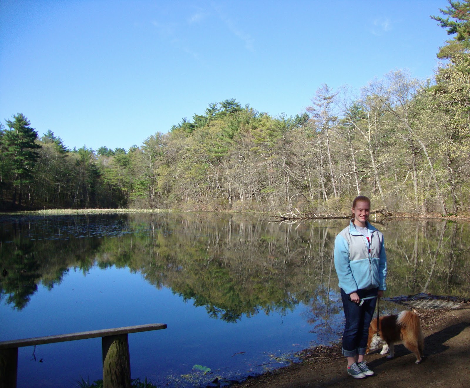 Glacial Massachusetts Fairyland Pond