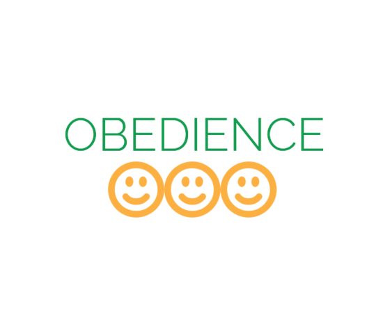 Obedience - Sermon Notes By Silas