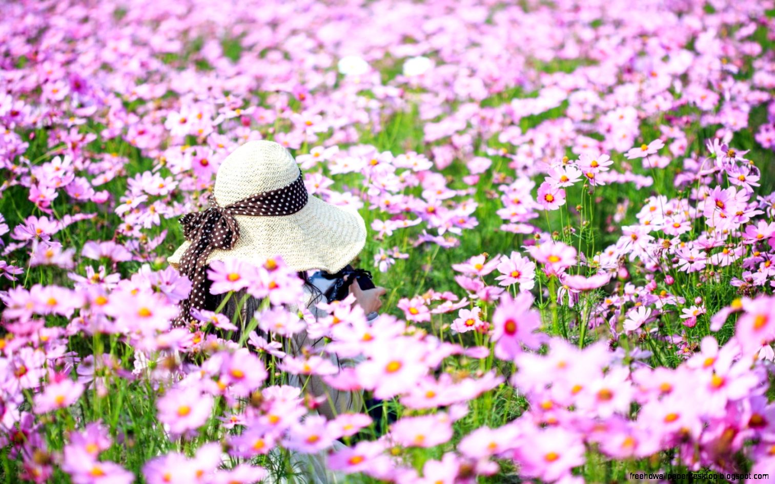 Girl Field Yellow Flowers Mood 6976131 Girl Field Yellow Flowers Mood 6976131