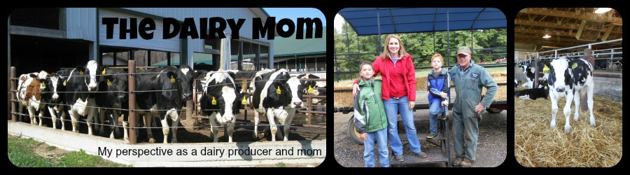 The Dairy Mom