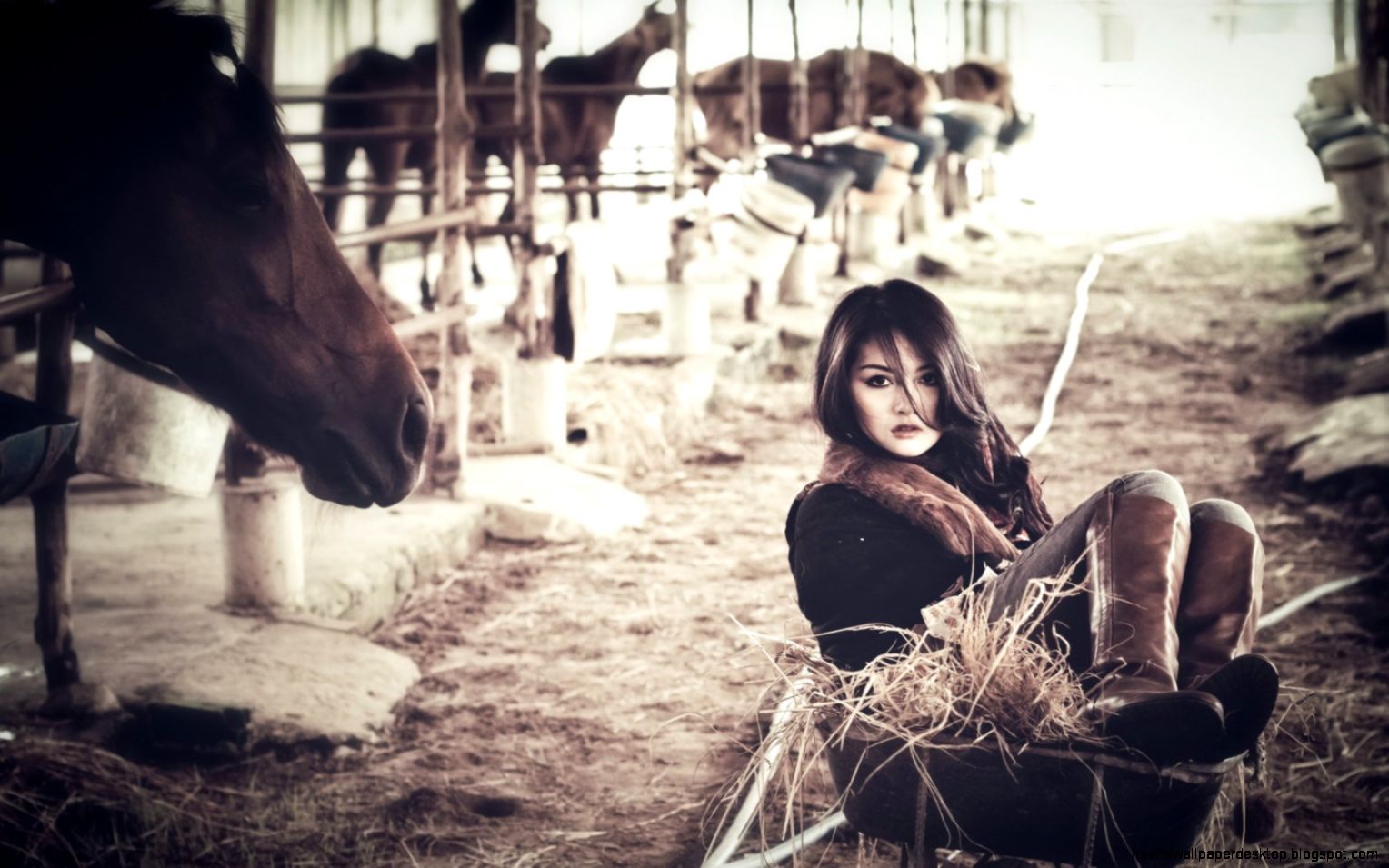 Wheelbarrow Farm Lovely Girl Horses Hd Wallpaper Girl Wallpaper Wheelbarrow Farm Lovely Girl Horses Hd Wallpaper Girl Wallpaper
