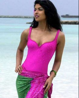 आकर्षक सुन्दर और गर्म अभिनेत्री प्रियंका चोपरा