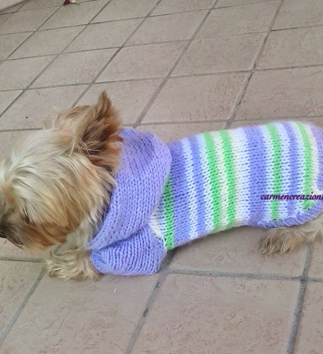 carmencreazioni: MAGLIONCINO SPORTIVO PER CANI AI FERRI