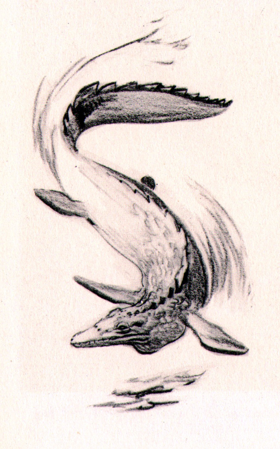 Zdeněk Burian: Mosasaurus