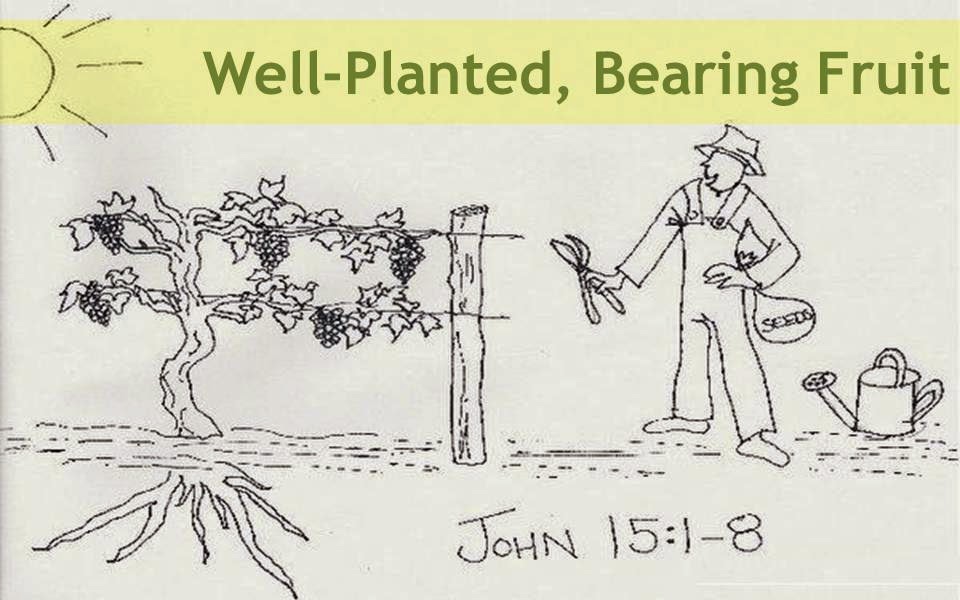 Good Shepherd Presbyterian Sermons Charlotte, NC WellPlanted