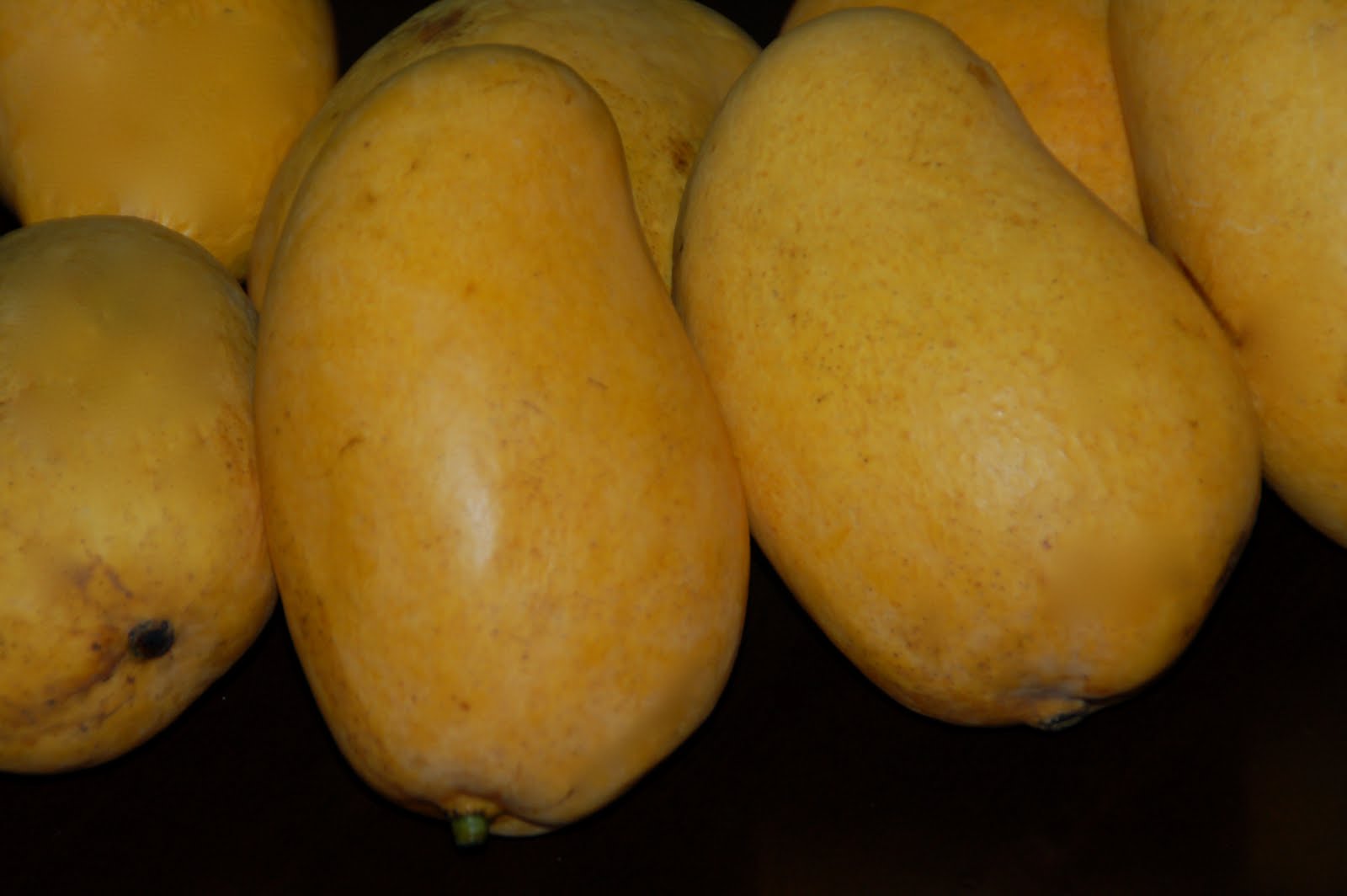 Art is in the kitchen Manila Mango Scorpacciata