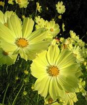 20101019-1018_3.JPG