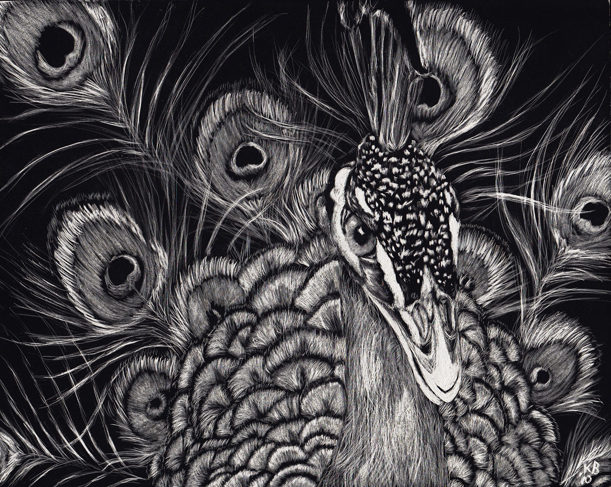 Artistic Adventures The Digital Edition