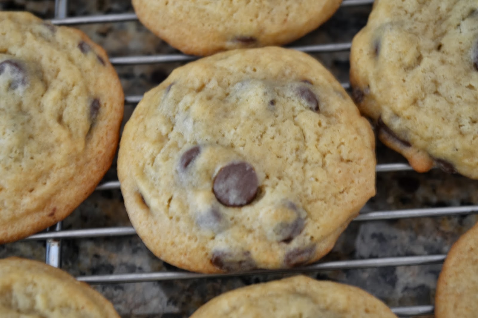 Closet Crafter Chocolate Chip Cookies Made With Honey