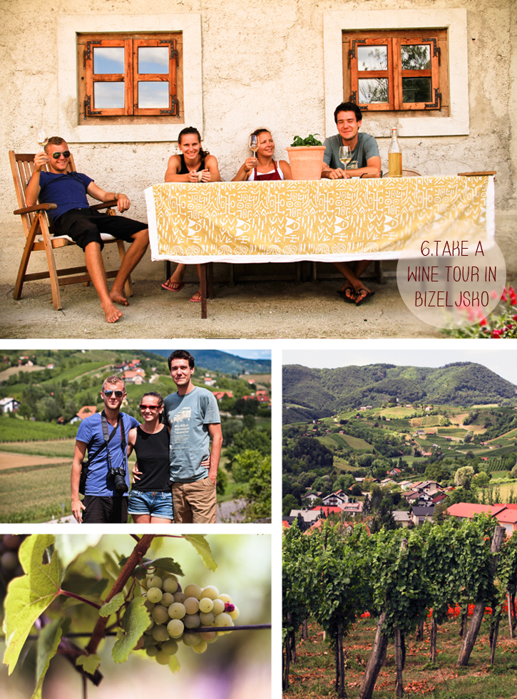 Wine Tours in Slovenia Wine tour Bizeljsko Slovenia, 10 things to do in Slovenia, Slovenia travel guide, Bizeljsko region, The Lower Sava Valley, Berkovic wine