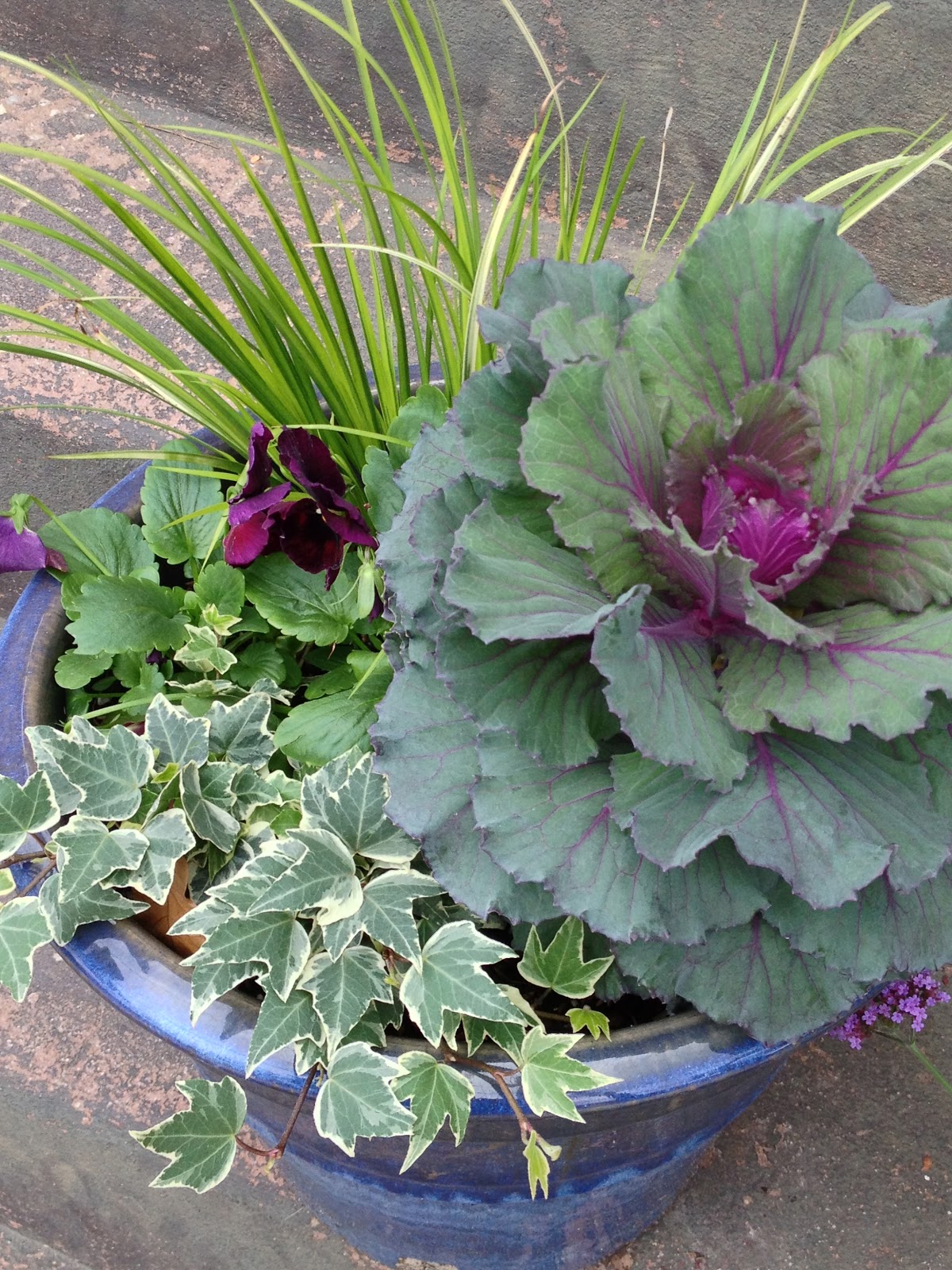 Seeds and Spores Cold Weather Planters