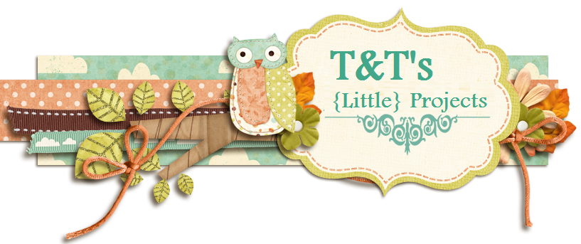 T&T's {Little} Projects
