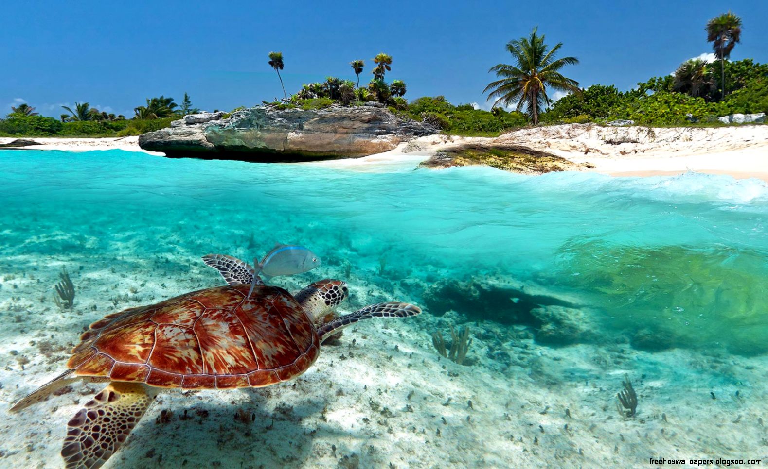 Mexico – The Riviera Maya – 22 Day Teen Learning Community Mexico – The Riviera Maya – 22 Day Teen Learning Community