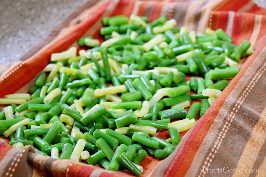 How to Freeze Green Beans and Other Vegetables PractiGanic