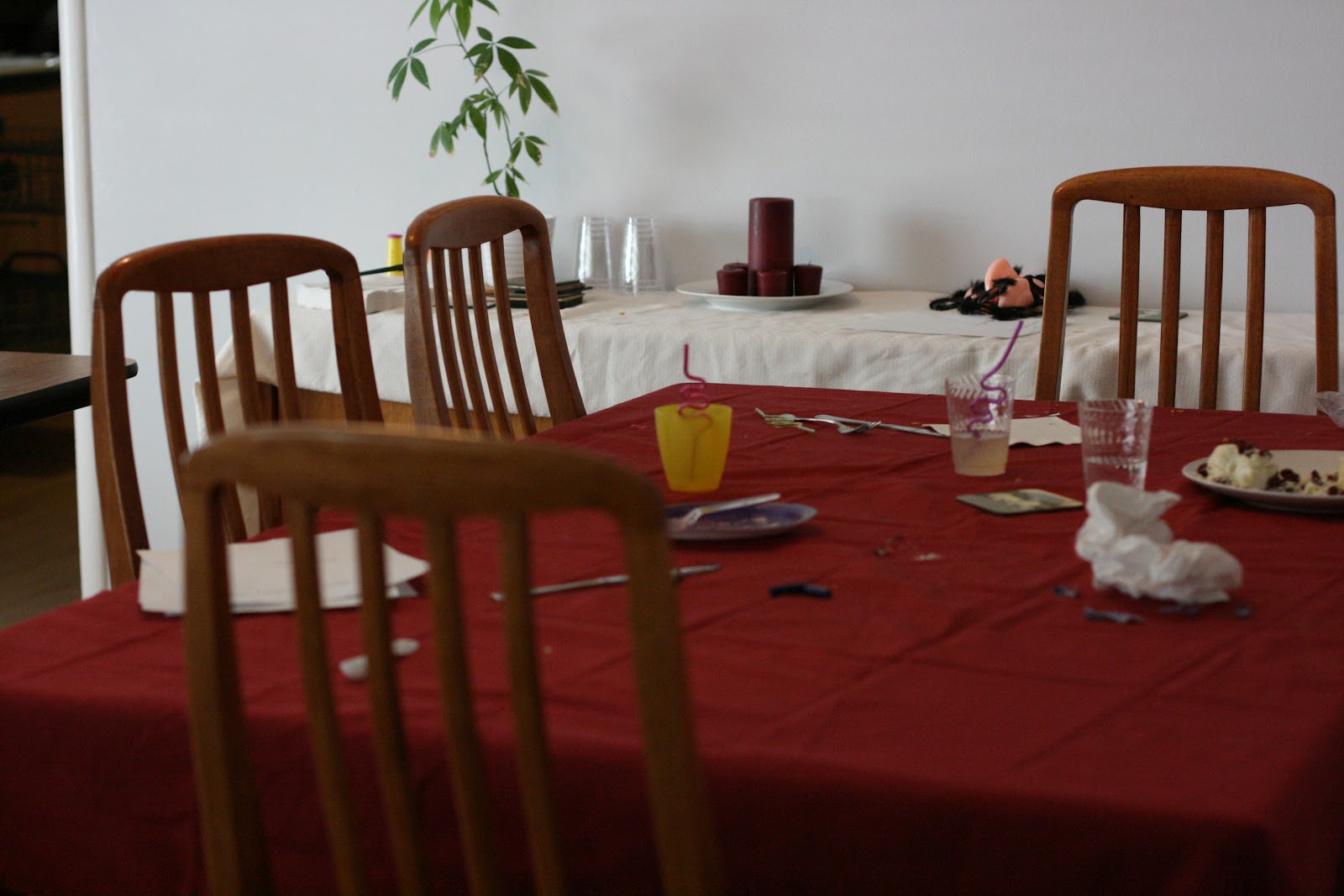 I Had A Cranberry Party A Year of Slow Cooking