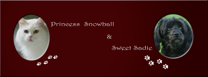 Princes Snowball & Sweet Sadie