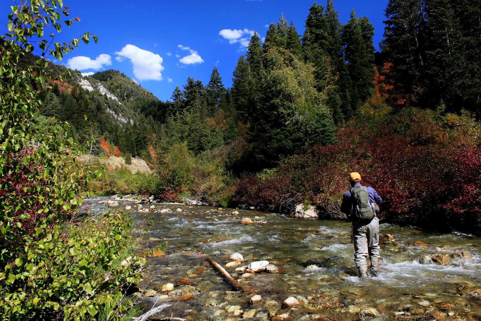 River Tales Virgin River Utah