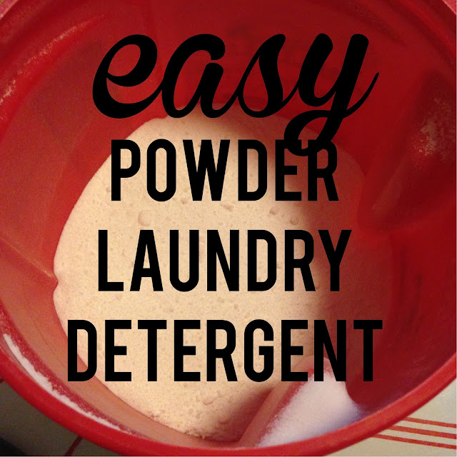 Marla, Plain and Small How to Make Powder Laundry Detergent (EASY!)