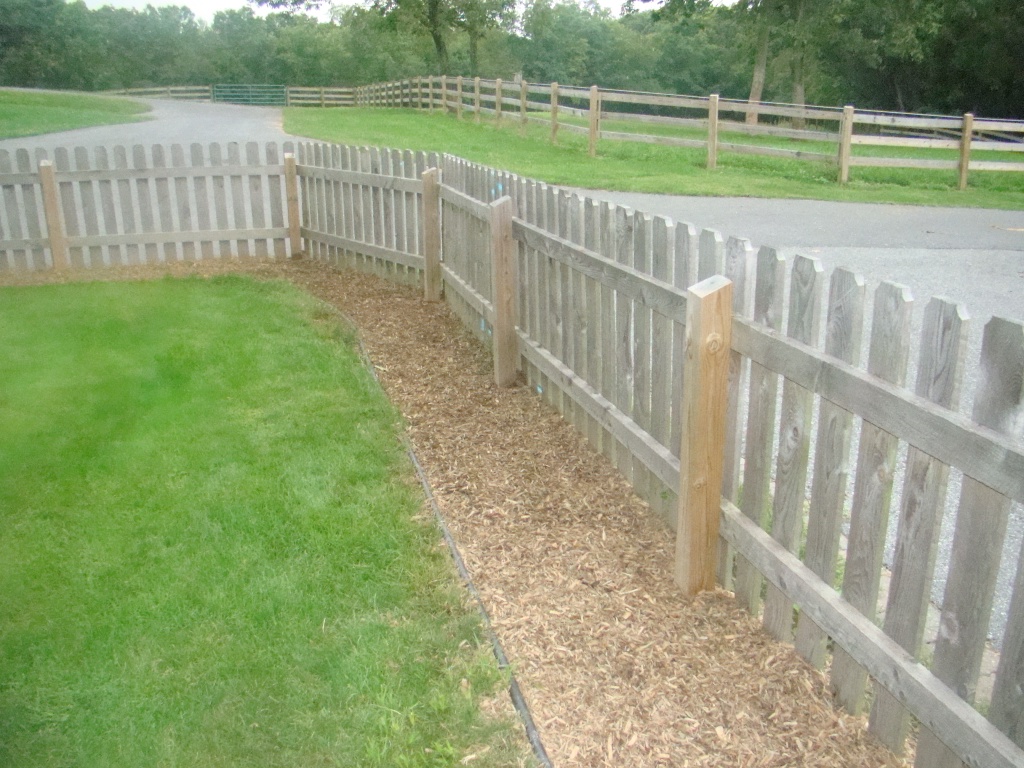 Acadia Shelties yard solutions to muddy dogs