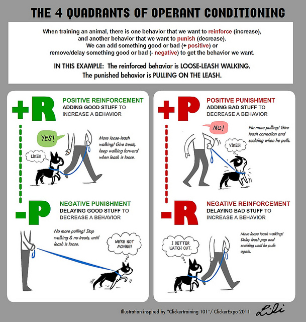 Sussex County Dog Training 4 Quadrants of Operant Conditioning