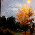 SkyBlew- "StreetLIGHTS"
