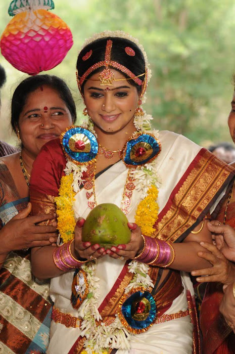 priyamani from kshethram, priyamani new unseen pics