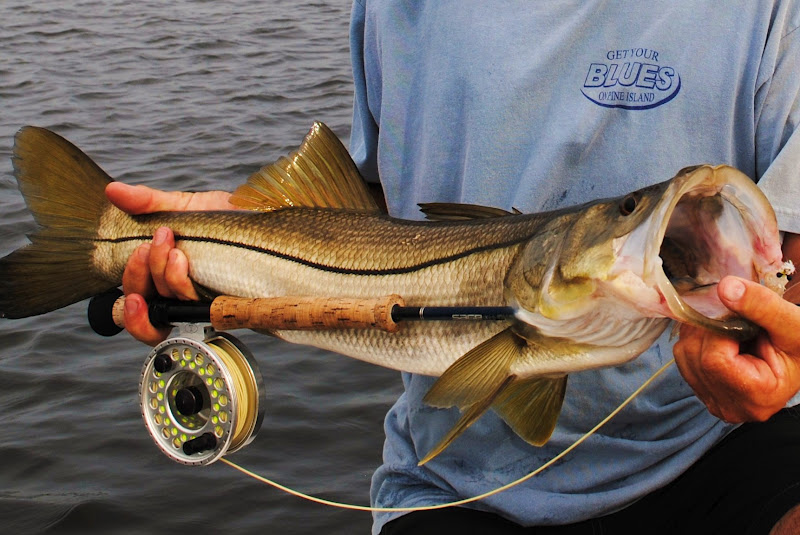 The Pine Island Angler Snook Season Will Reopen This Fall