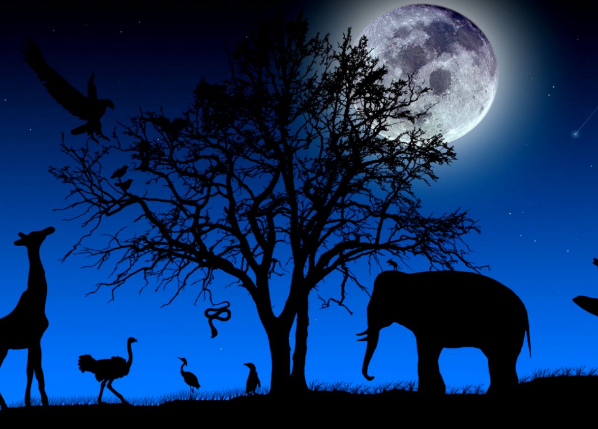 Desktop world Free desktop wallpapers Computer wallpapers Desktop world Free desktop wallpapers Computer wallpapers