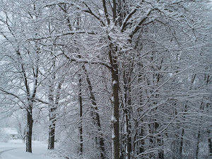 Winter in West Michigan