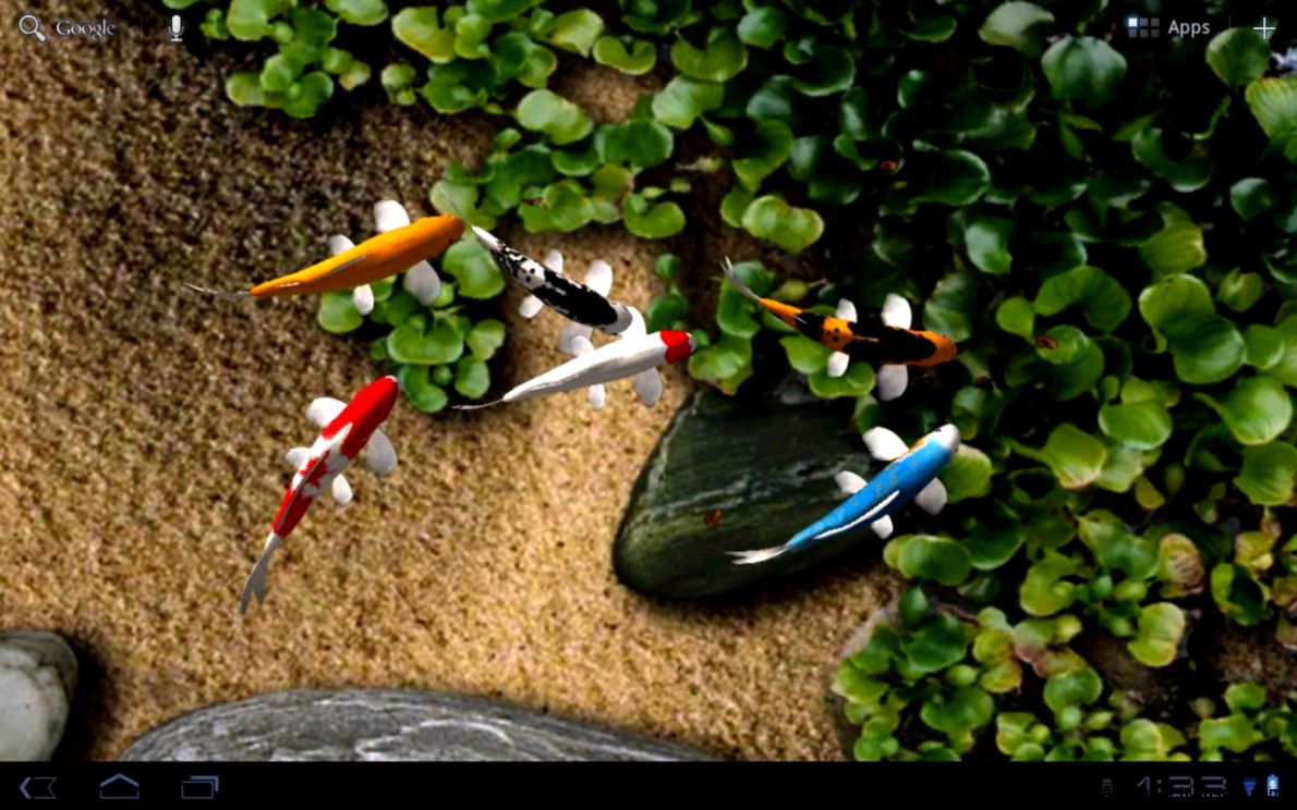 Koi Fish Live Wallpaper for PC Free Download Koi Fish Live Wallpaper for PC Free Download
