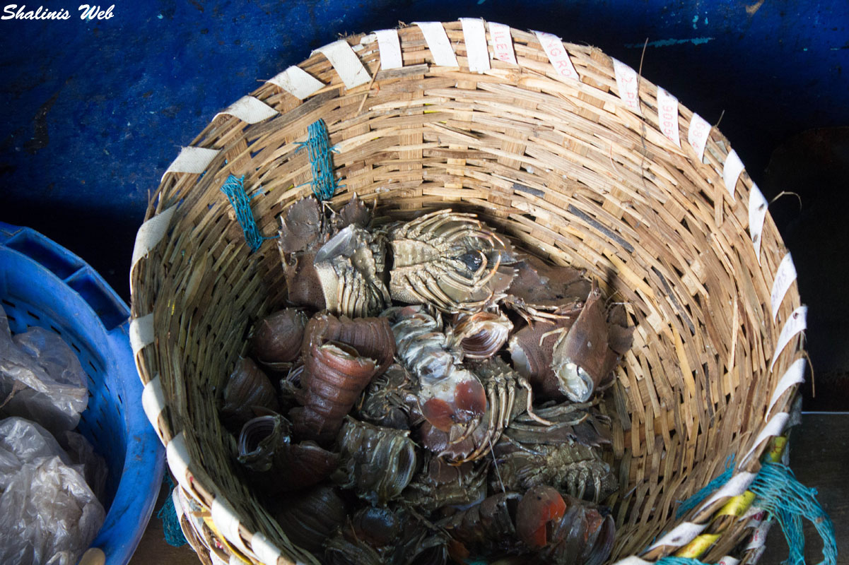 Shalini's Web Fish MarketKasimedu ,Chennai