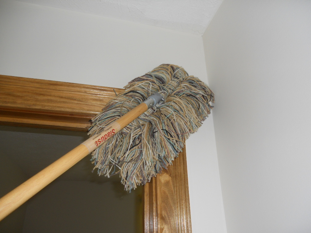 A YEAR OF JUBILEE REVIEWS SlaDust World's Finest Wool Dust Mop Review