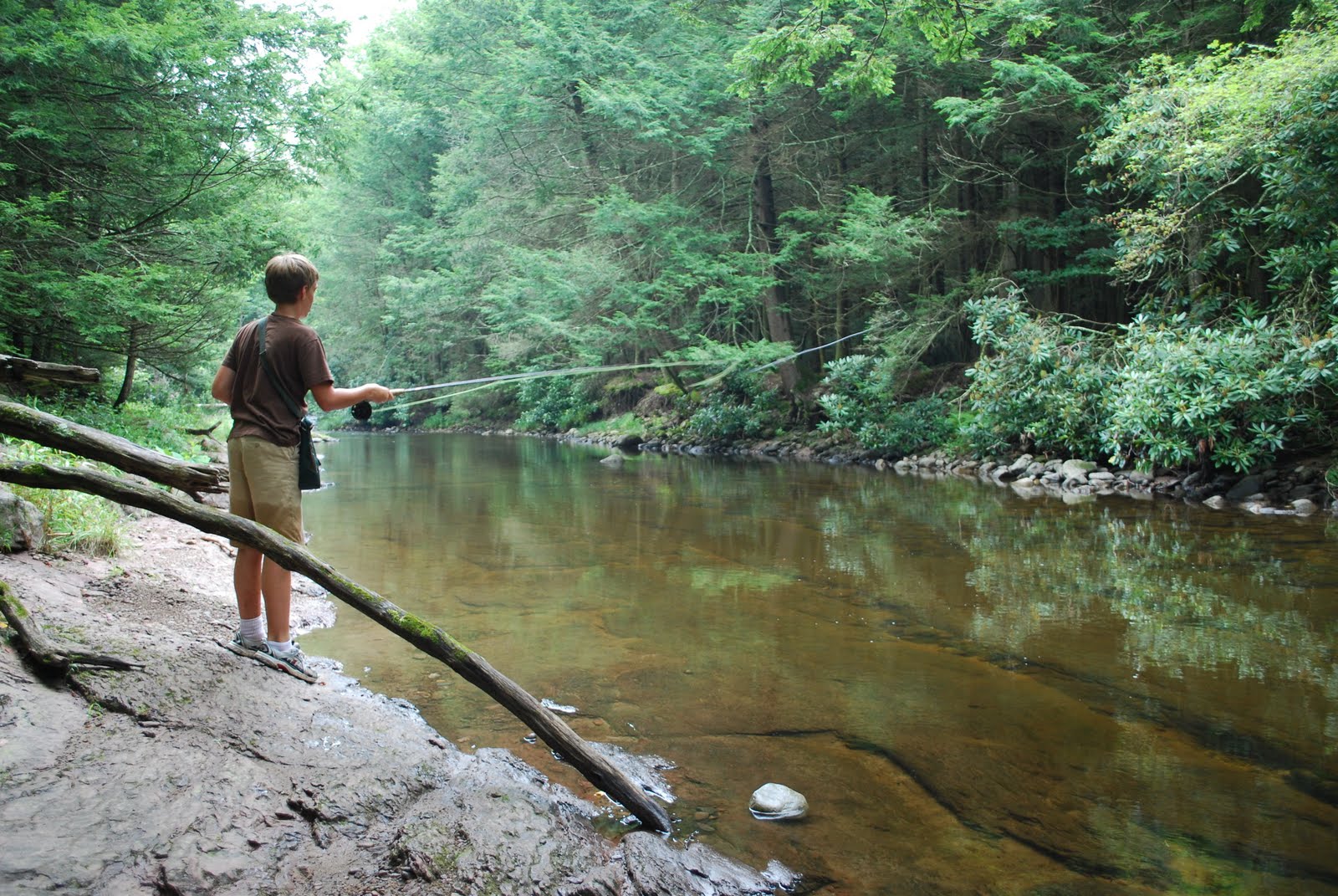 Litton's Fishing Lines Novices Fly Fish the Flatbrook