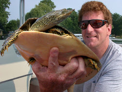 Greg with a spiny soft-shelled turtle