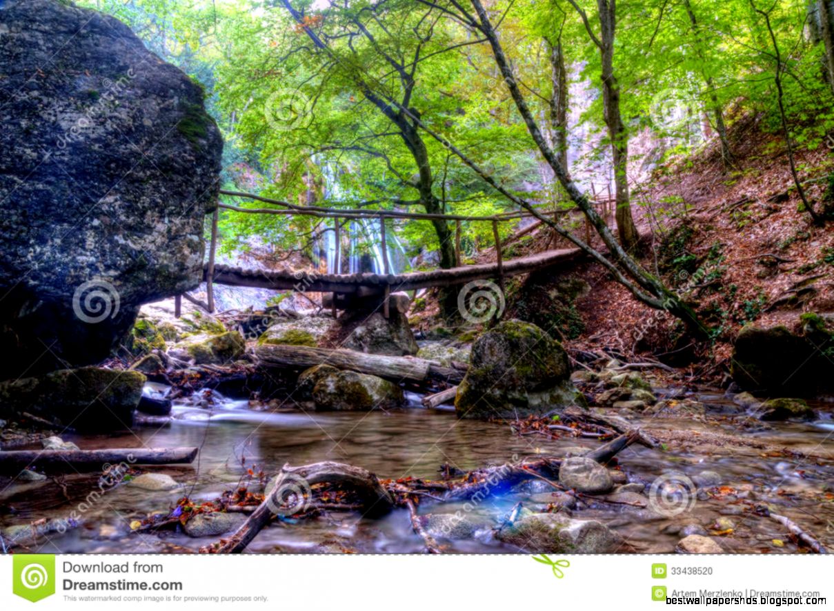 Beautiful Waterfall in Woods Beautiful Waterfall in Woods