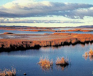 Bear River Refuge