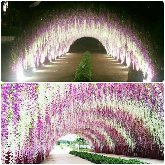 Lokasi Eco Spring -Eco Summer Johor