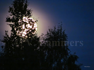 Full Moon rising 5