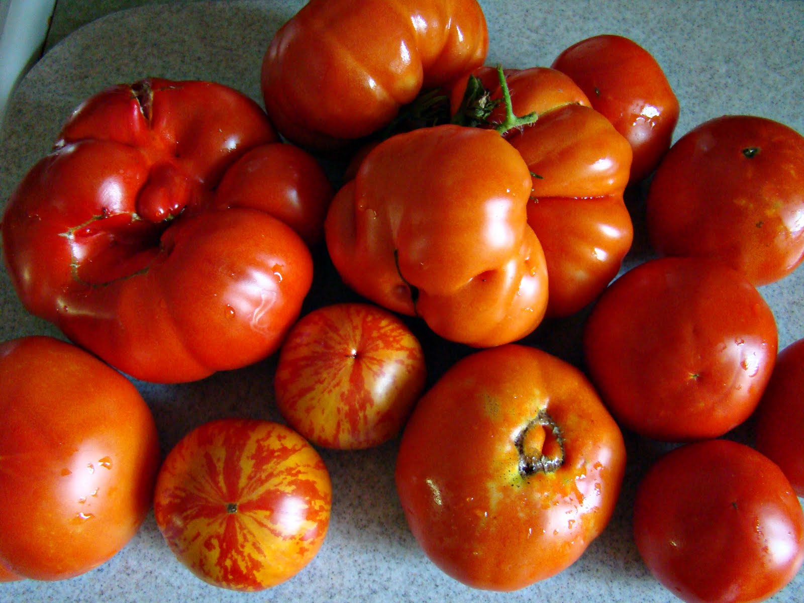 Rurification Heirloom Tomatoes