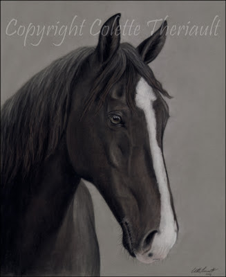 Tennessee walking horse portrait in pastel by animal artist Colette Theriault