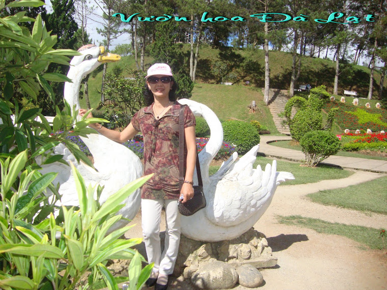 Dalat 2011