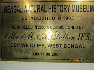The Bengal Natural History museum
