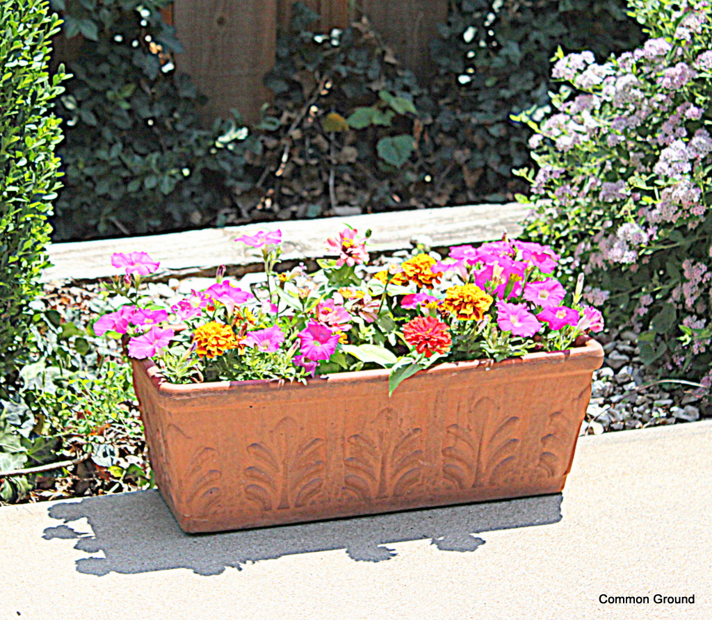 common ground Outdoor Pillows...cheap, cheep