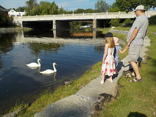 My Family Admiring Swans My Family Admiring Swans