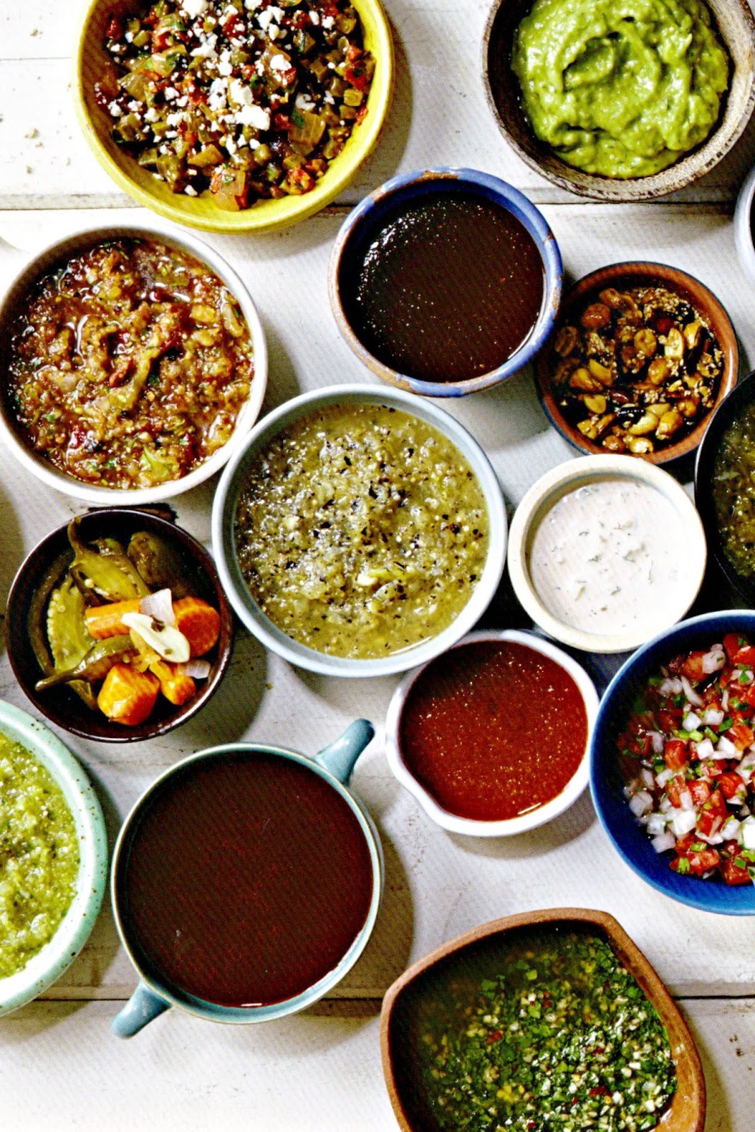 OllaPodrida Salsas and Moles by Deborah Schneider, a Spicy Review