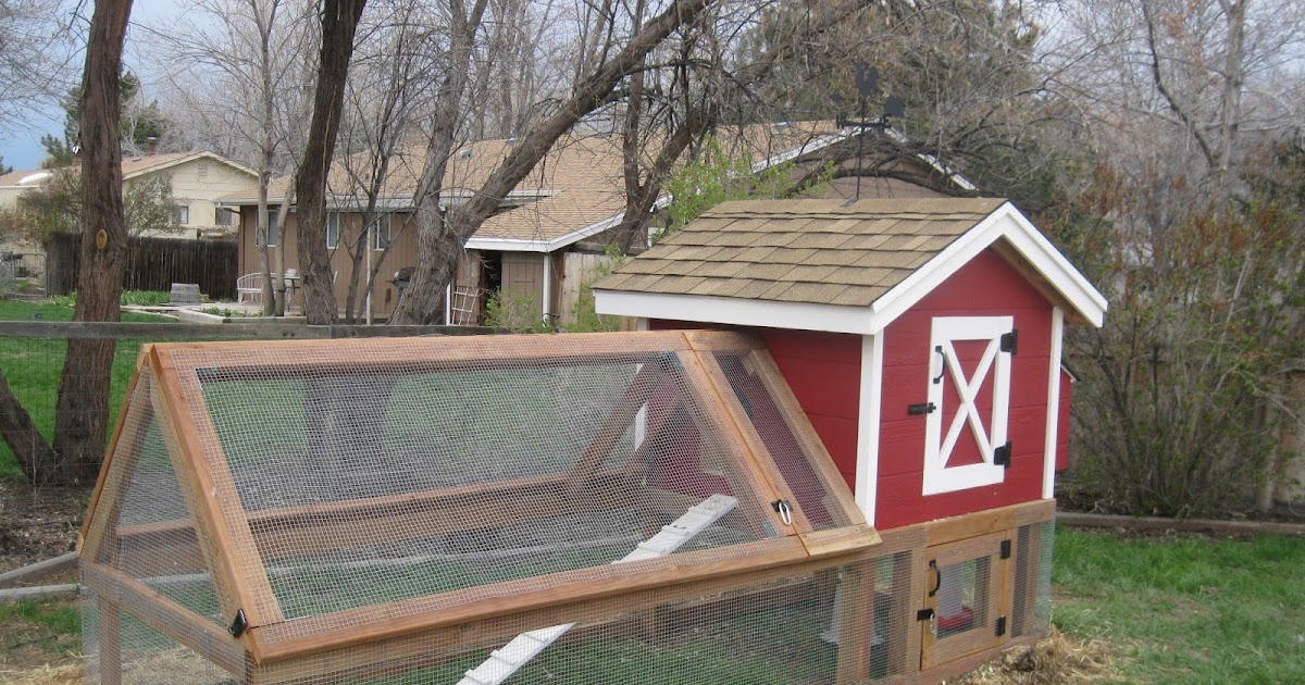 Flights Of Fancy The Coop is Occupied