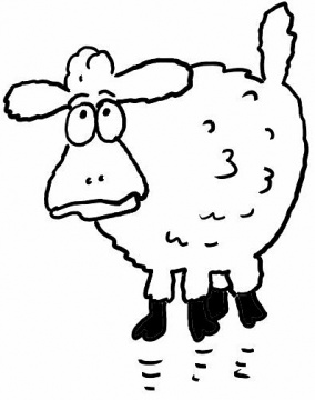 surprised-sheep.jpg