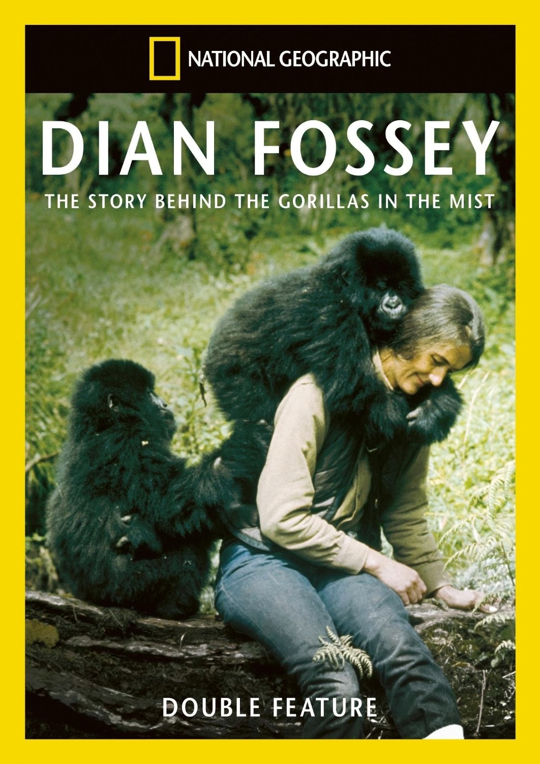 dian fossey gorilla fund store dian fossey gorilla fund store
