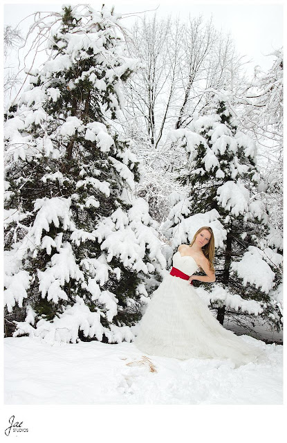  Snowy Outdoor Bridal Session Lynchburg