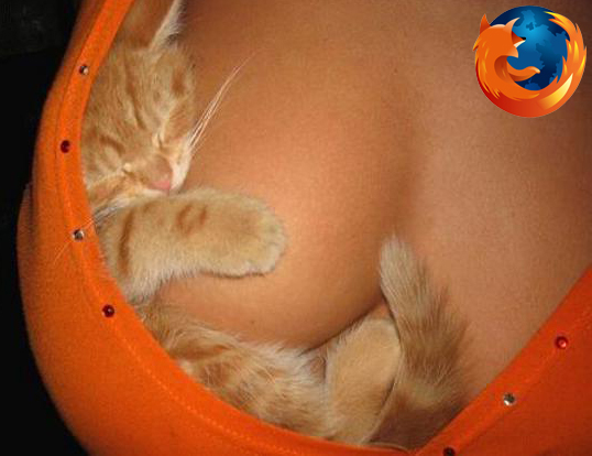 firefoxkitten.jpg
